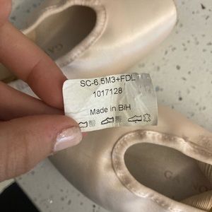 Gaynor minden pointe shoes new never worn